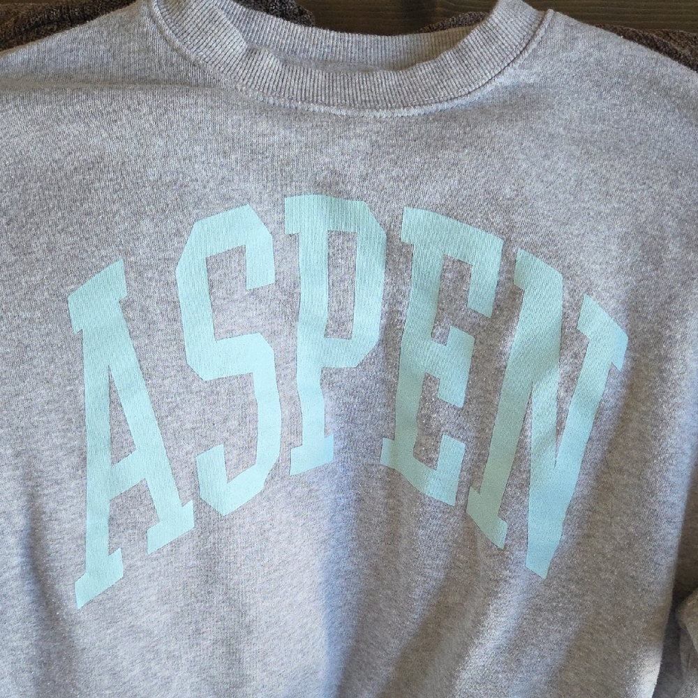 Grayson Threads Light Gray Sweatshirt - image 2